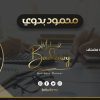 استشارة في البيزنس