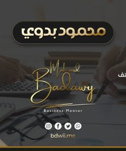 استشارة في البيزنس